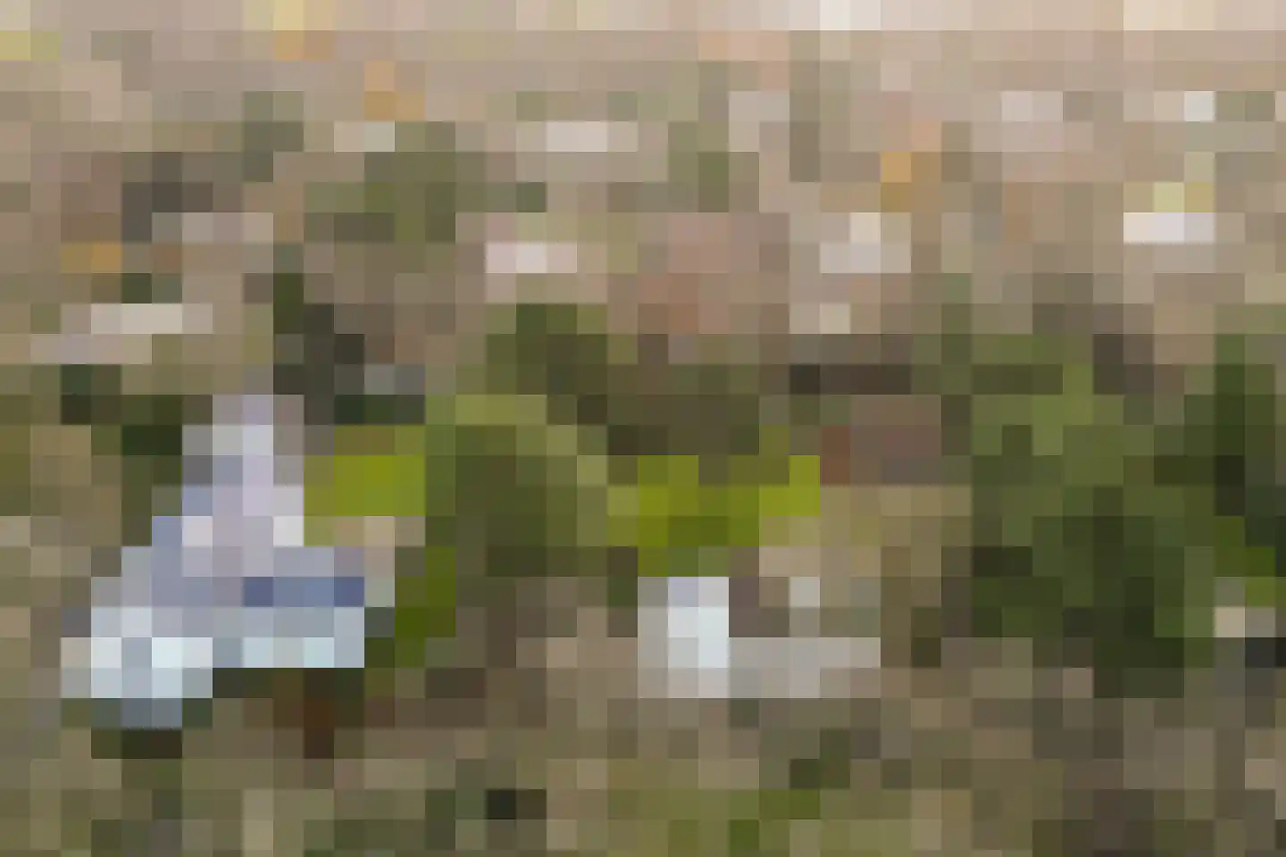 Vleysmanlaan 16 Wassenaar thumbnail 16