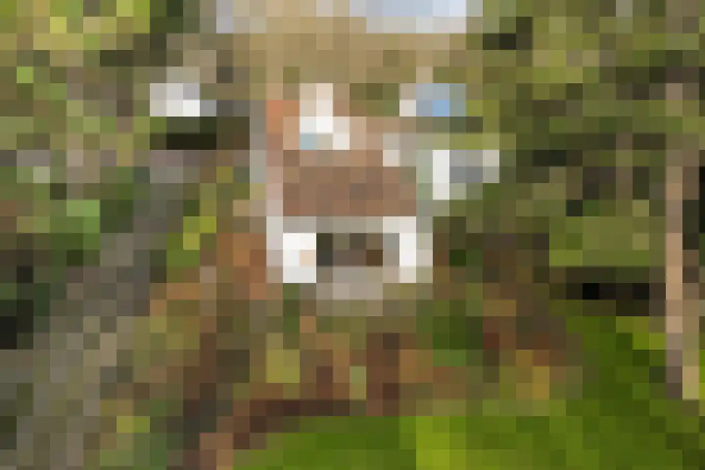 Vleysmanlaan 16 Wassenaar thumbnail 17
