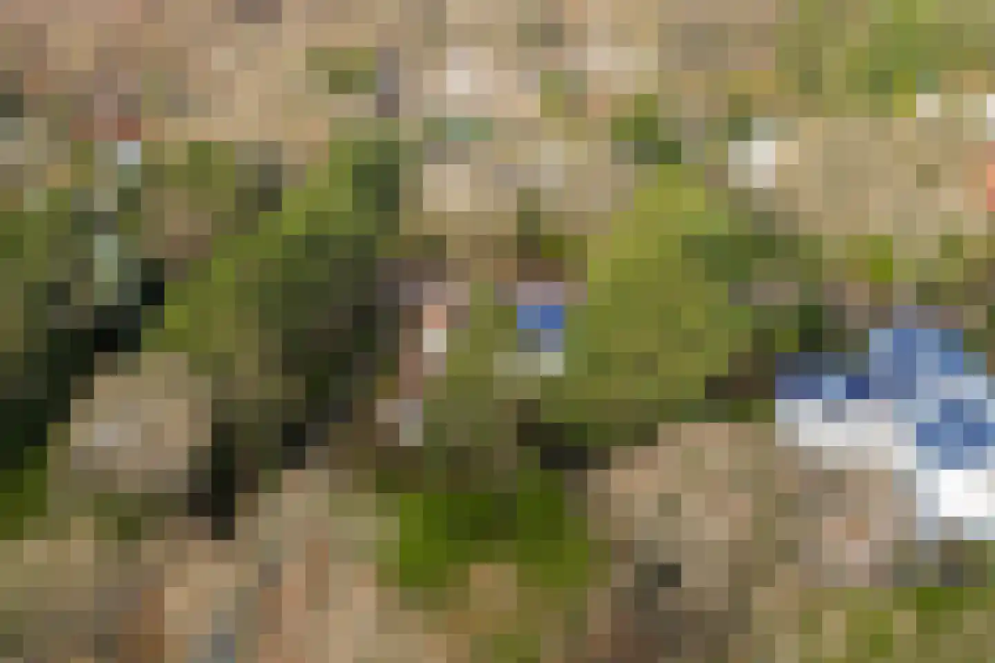 Vleysmanlaan 16 Wassenaar thumbnail 18