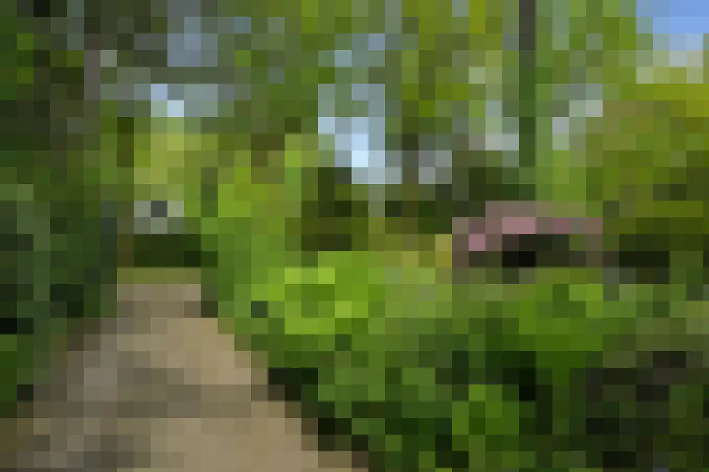 Vleysmanlaan 16 Wassenaar thumbnail 7