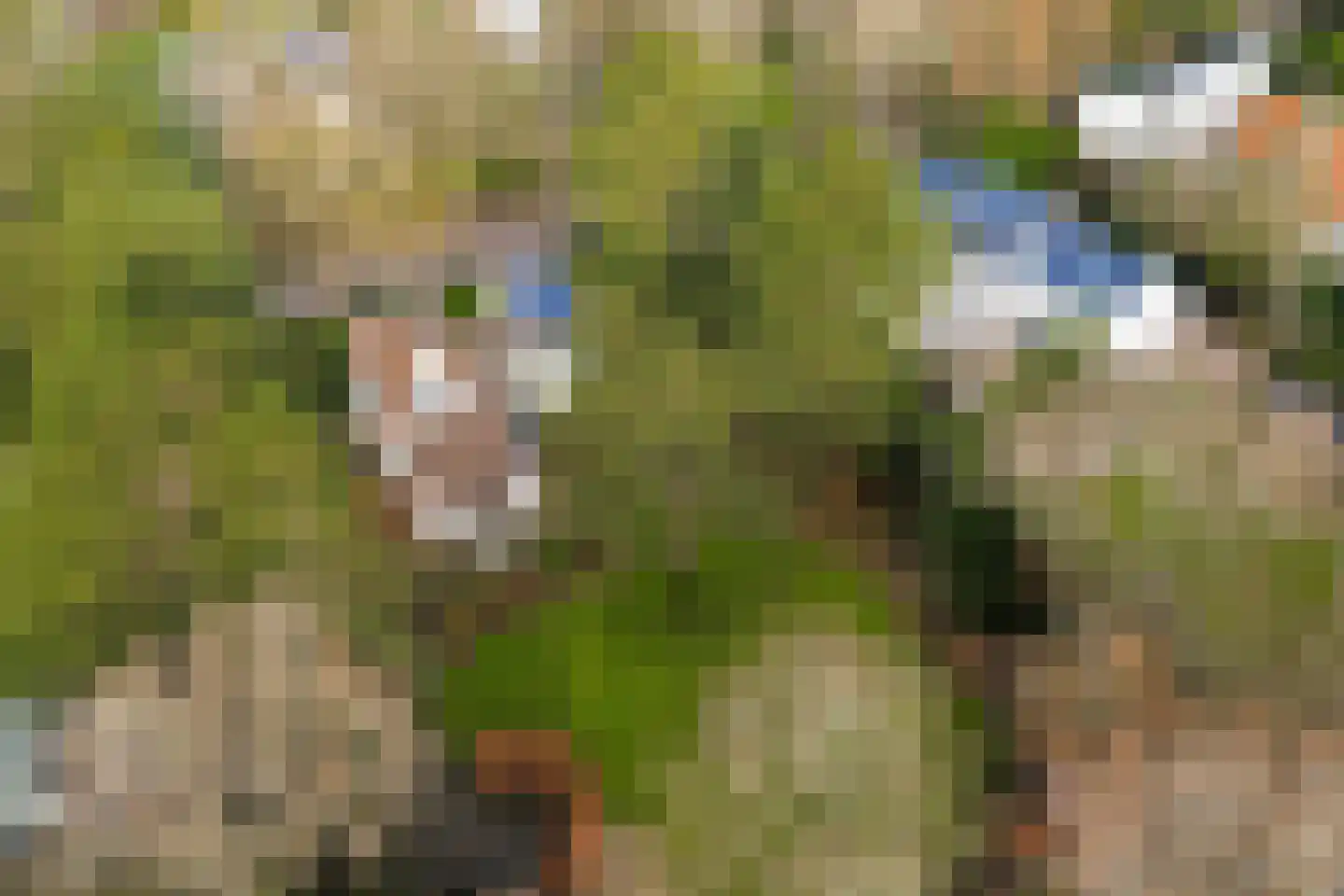 Vleysmanlaan 16 Wassenaar thumbnail 8