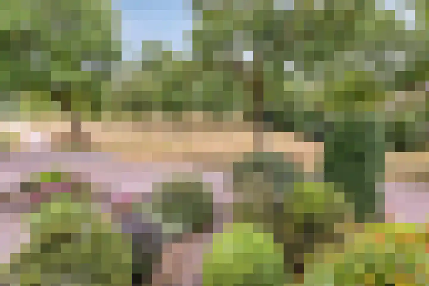 Vlie 21 Huizen thumbnail 13