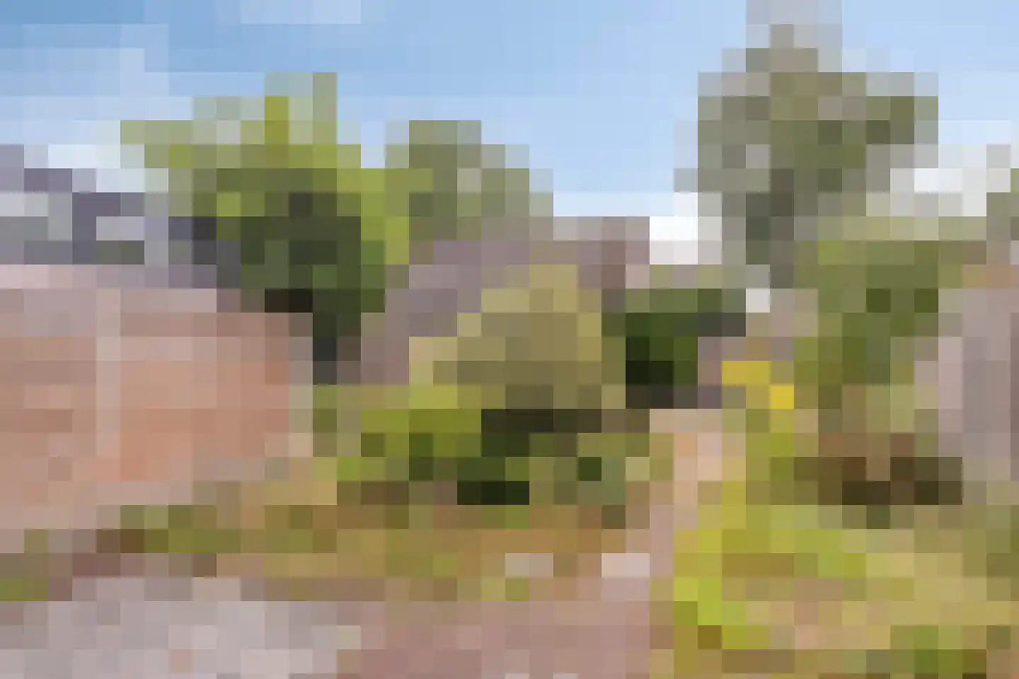 Vlie 21 Huizen thumbnail 21