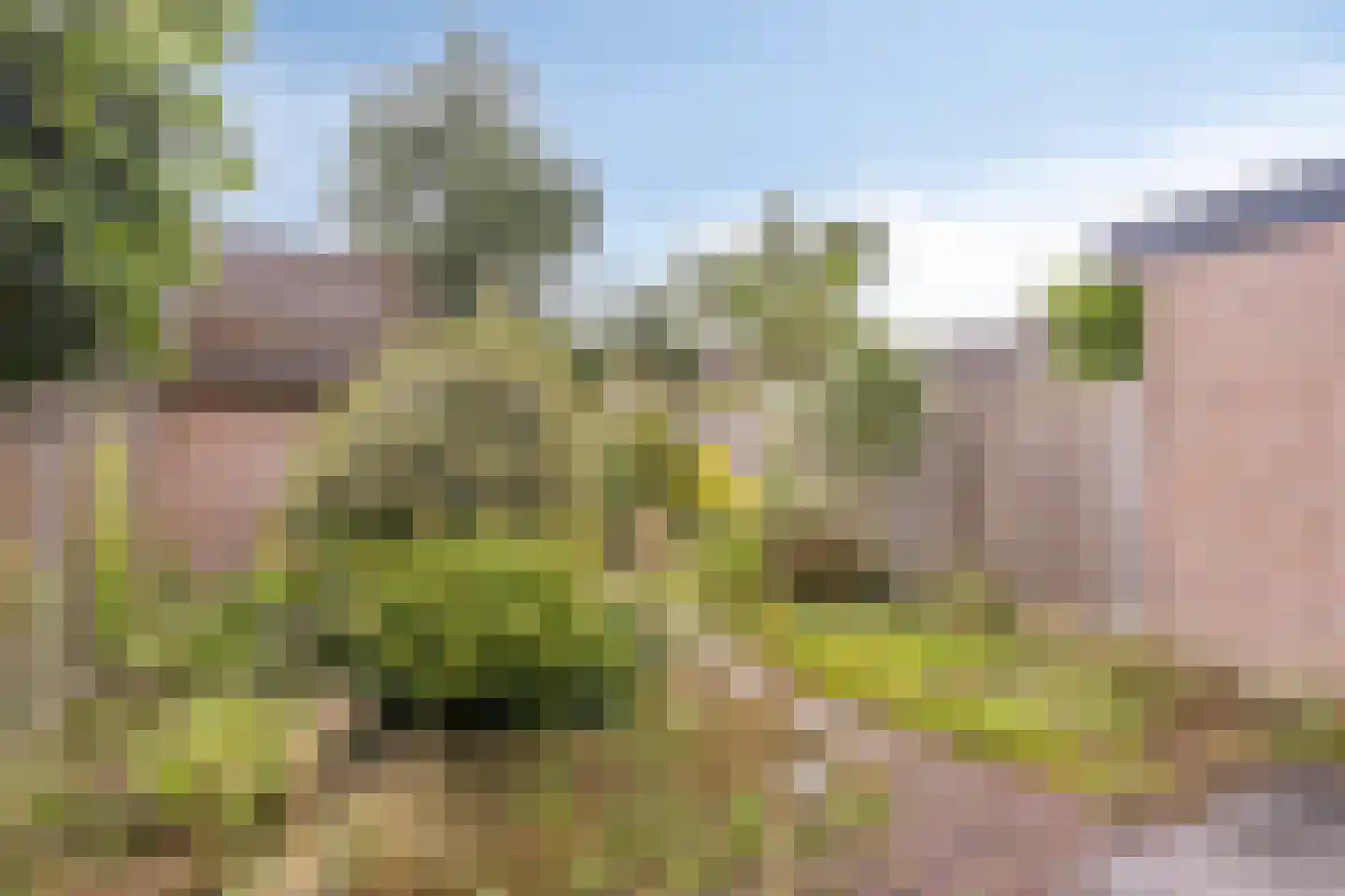 Vlie 21 Huizen thumbnail 22