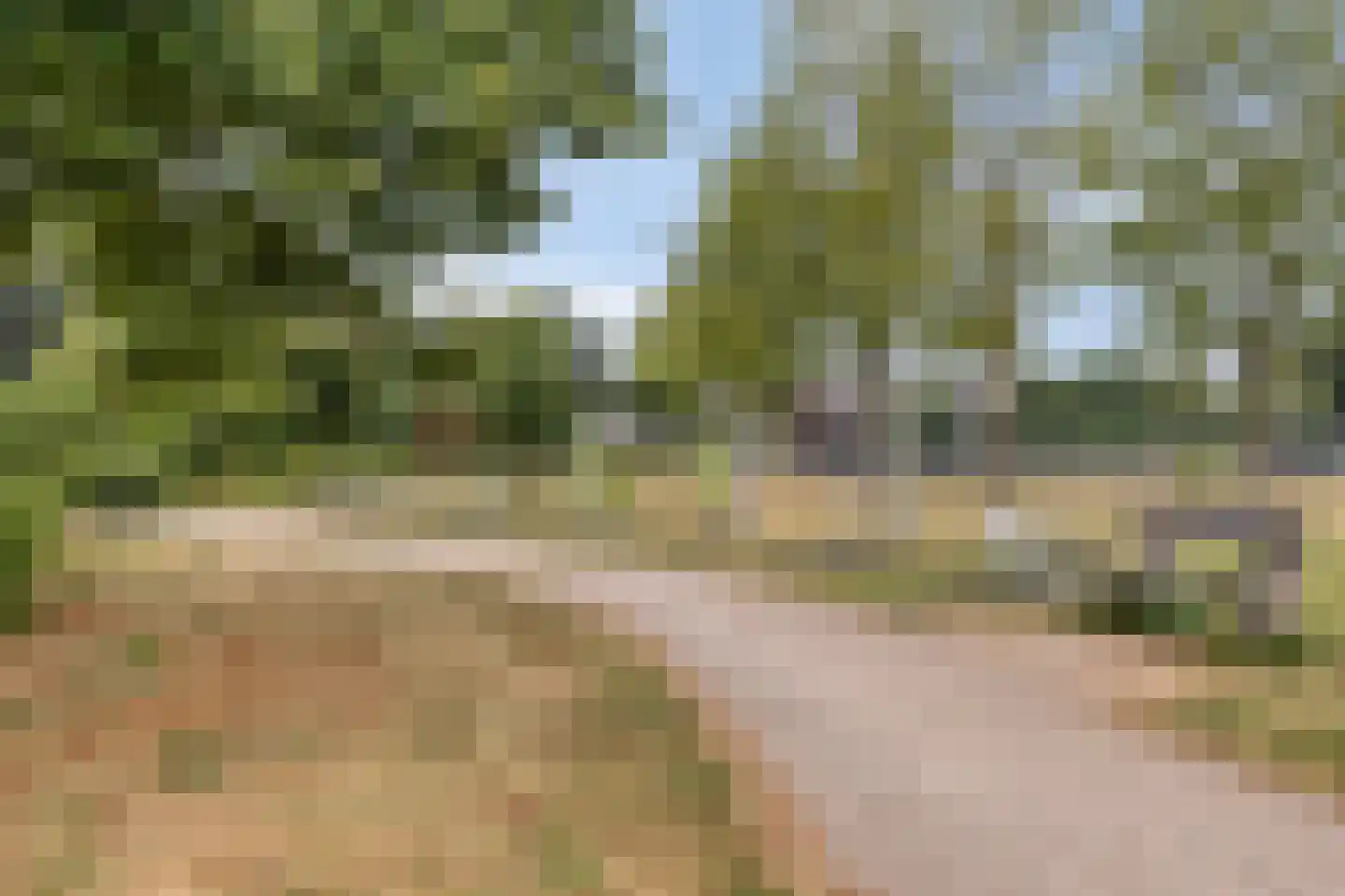 Vlie 21 Huizen thumbnail 25