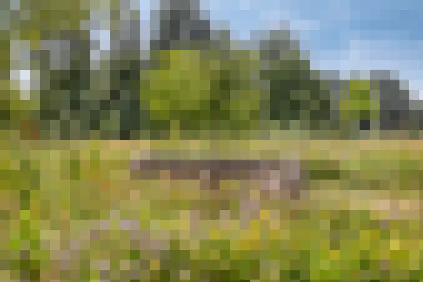 Vlie 21 Huizen thumbnail 4