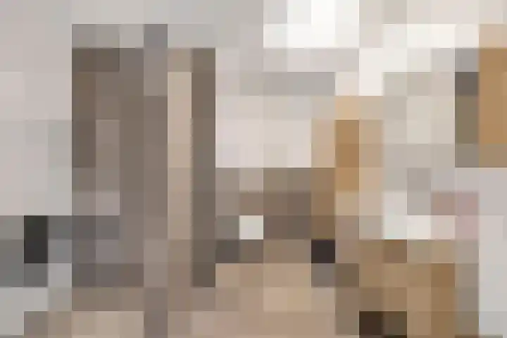 Vliedberglaan 3 c Ouddorp thumbnail 26