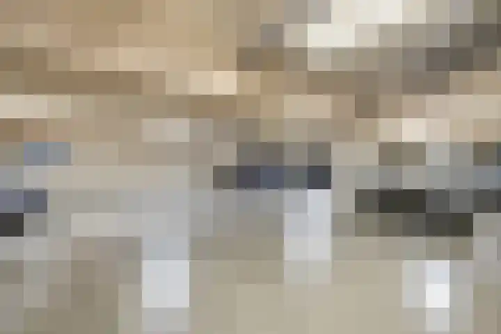 Vliedberglaan 3 c Ouddorp thumbnail 33