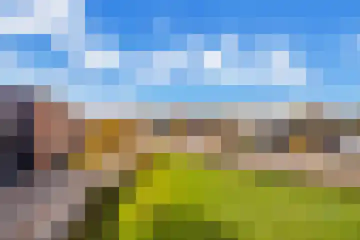 Vliedberglaan 3 c Ouddorp thumbnail 39