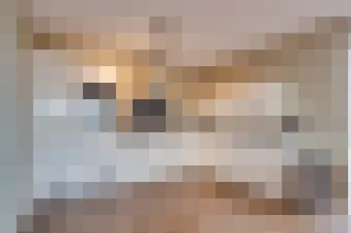 Vliedberglaan 3 d Ouddorp thumbnail 6