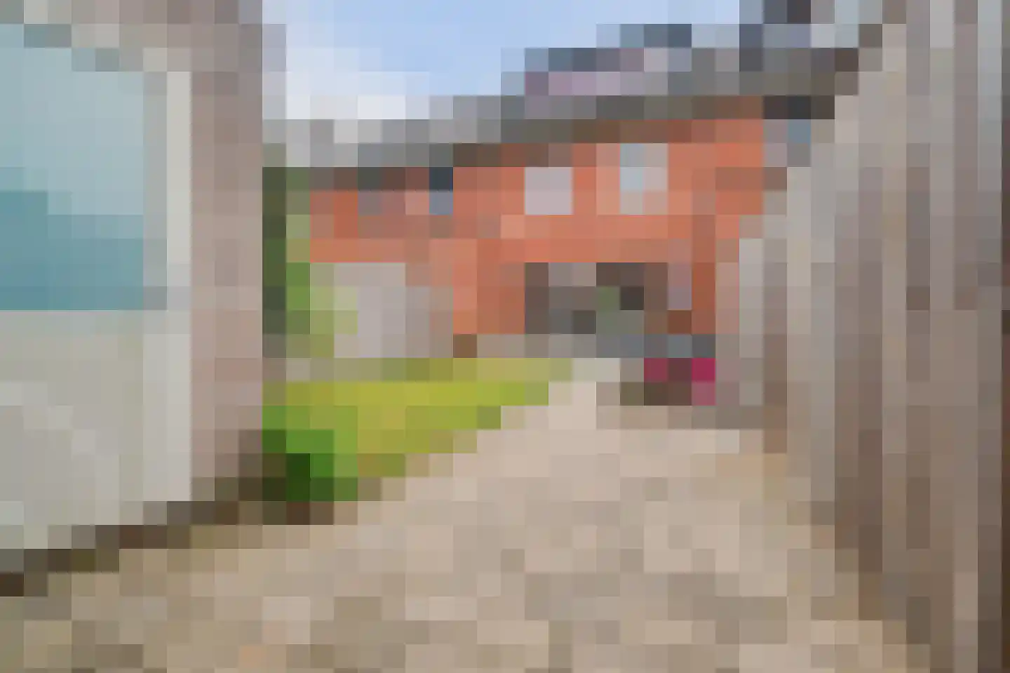 Vliedbergweg 11 Vlijmen thumbnail 38