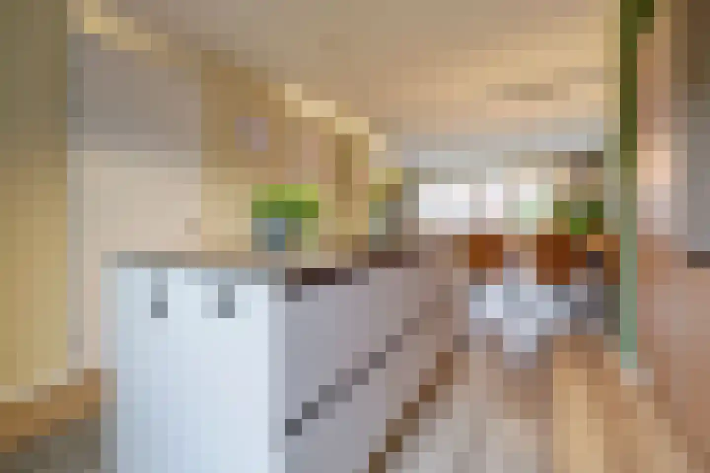 Vliedbergweg 11 Vlijmen thumbnail 7