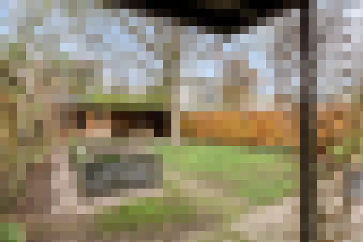 Vliedbergweg 8 Vlijmen thumbnail 33