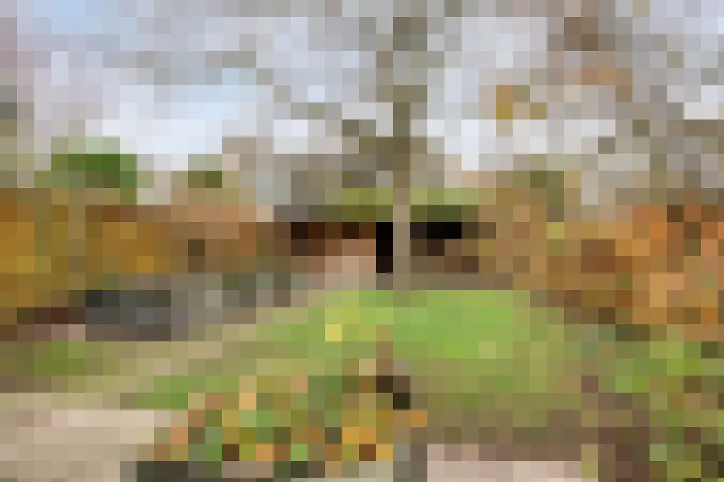 Vliedbergweg 8 Vlijmen thumbnail 35