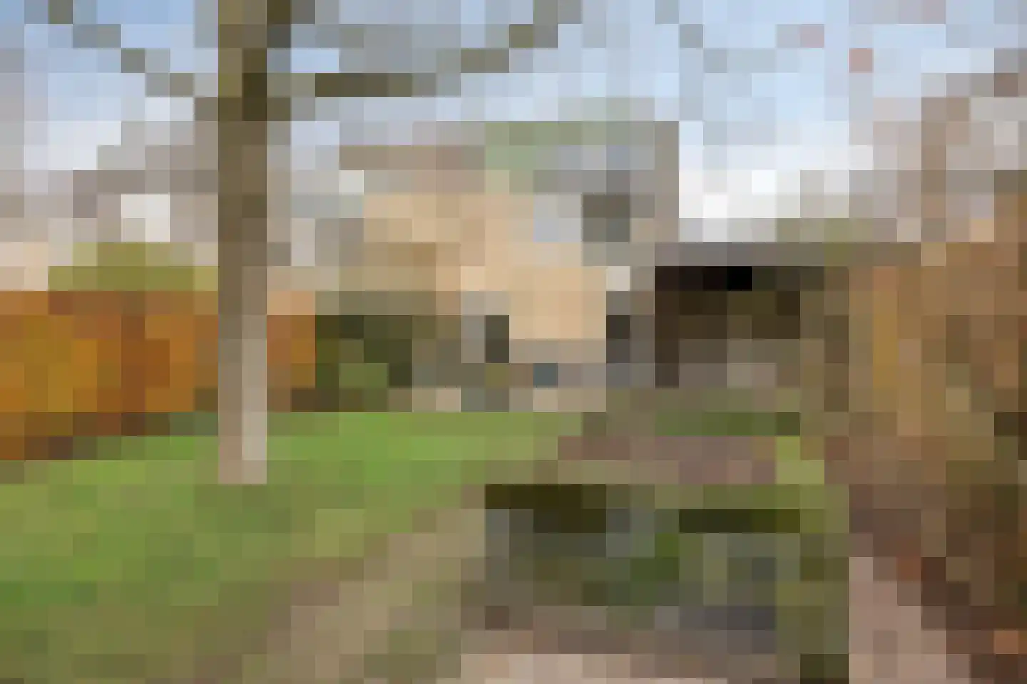 Vliedbergweg 8 Vlijmen thumbnail 36