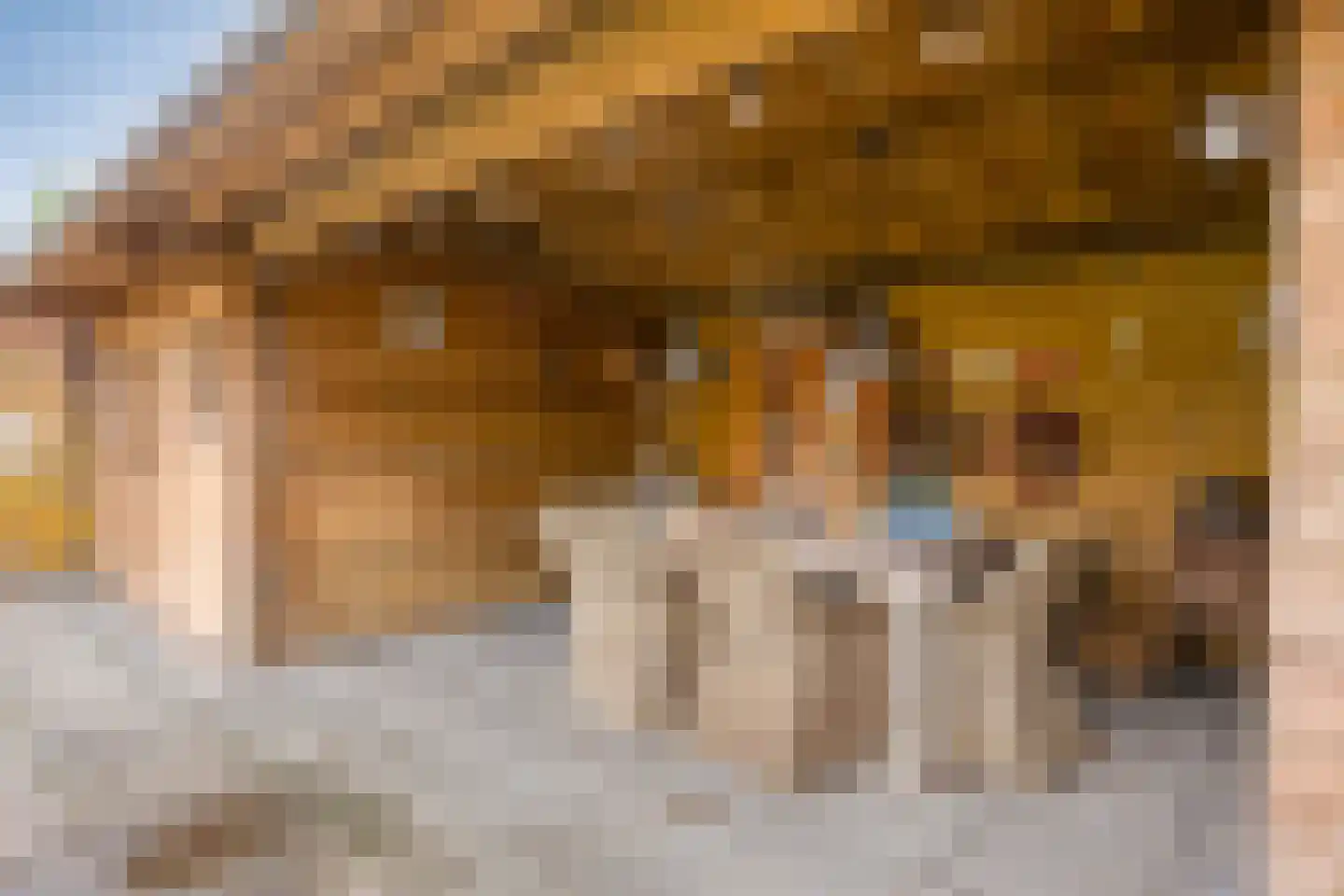 Vliedbergweg 8 Vlijmen thumbnail 4