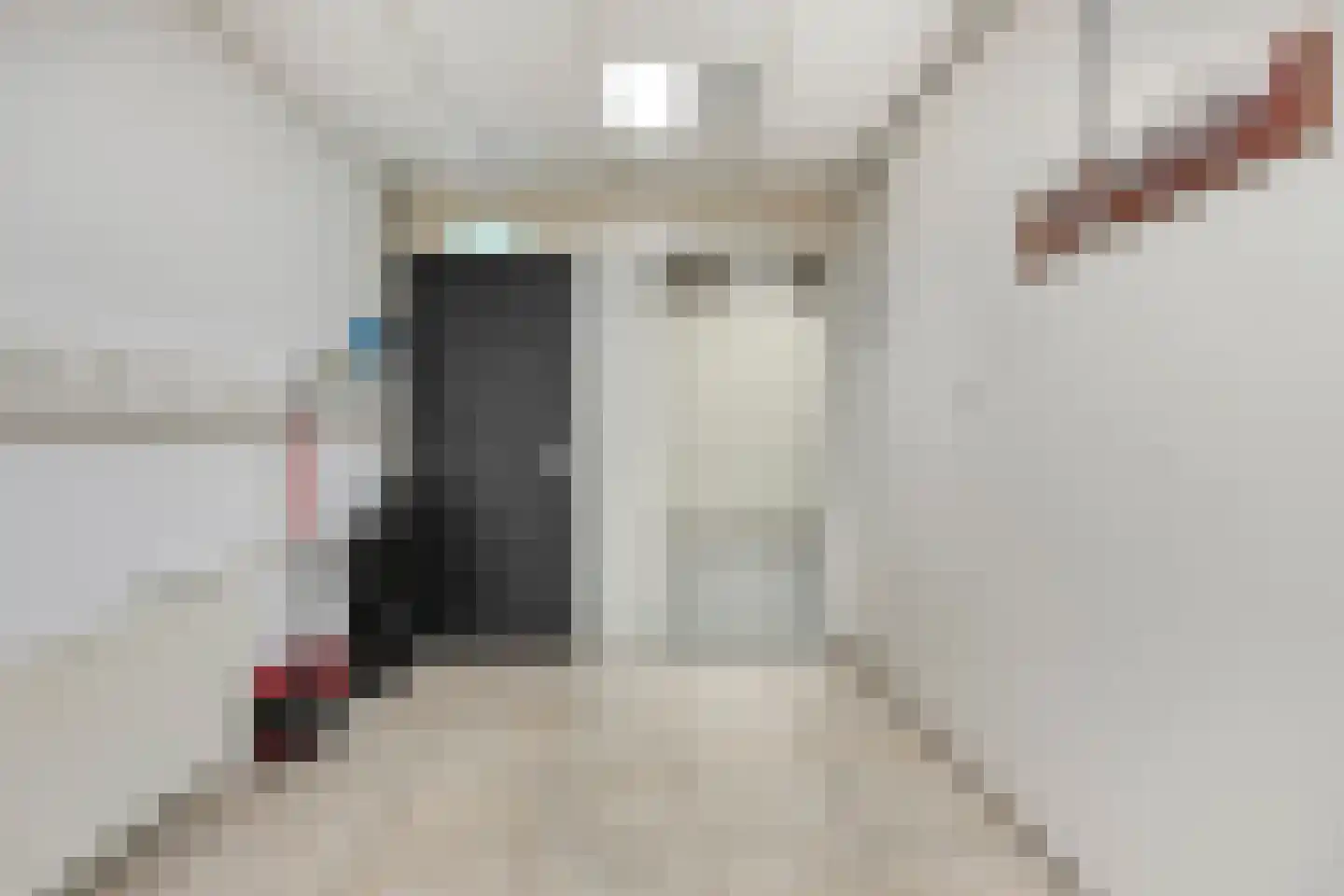 Vliedbergweg 8 Vlijmen thumbnail 43