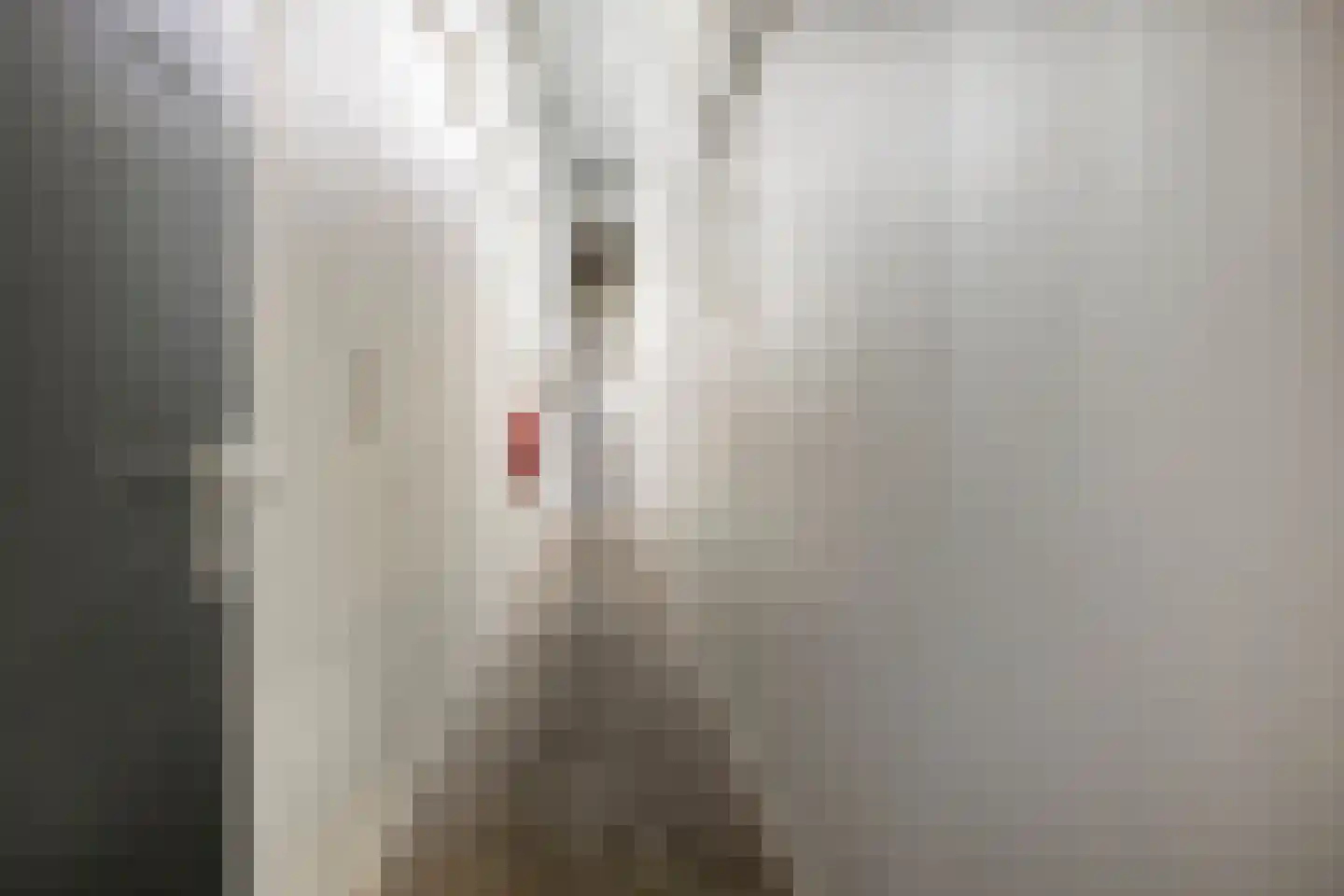 Vliedbergweg 8 Vlijmen thumbnail 45