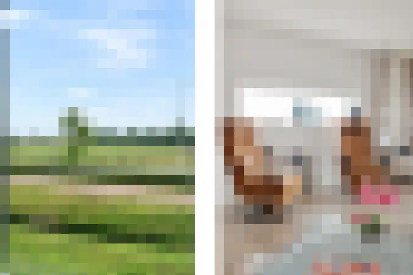 Vliedlaan 10 Schagen thumbnail 18