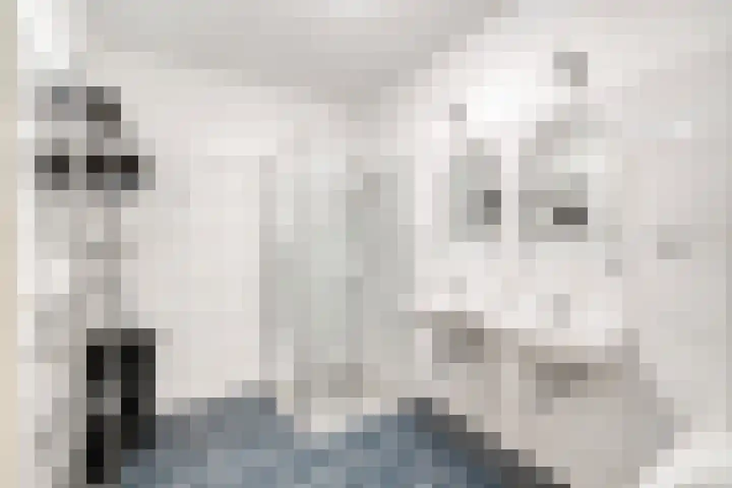 Vliedlaan 10 Schagen thumbnail 31