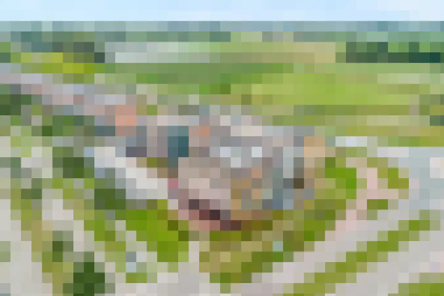 Vliedlaan 10 Schagen thumbnail 38