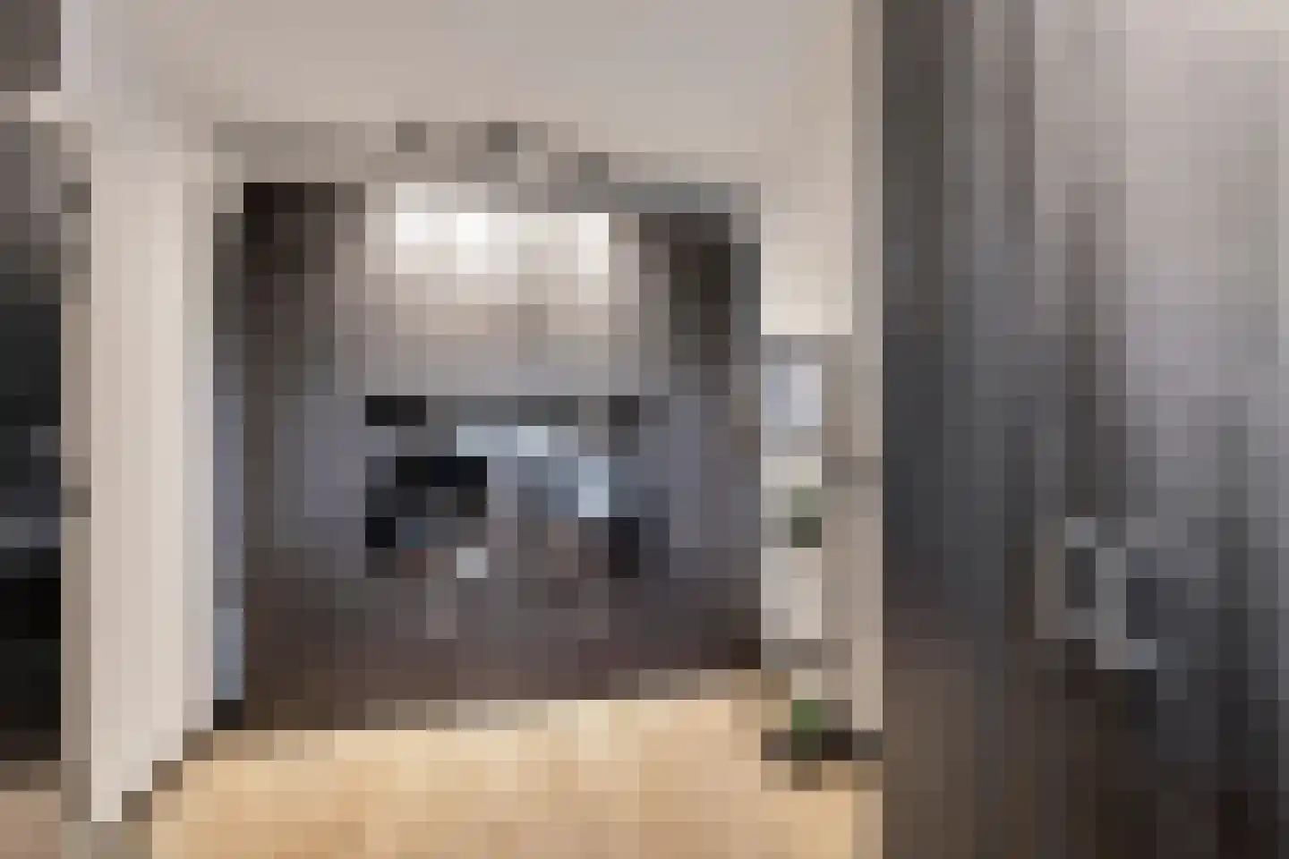 Vliegaan 3 Huissen thumbnail 16