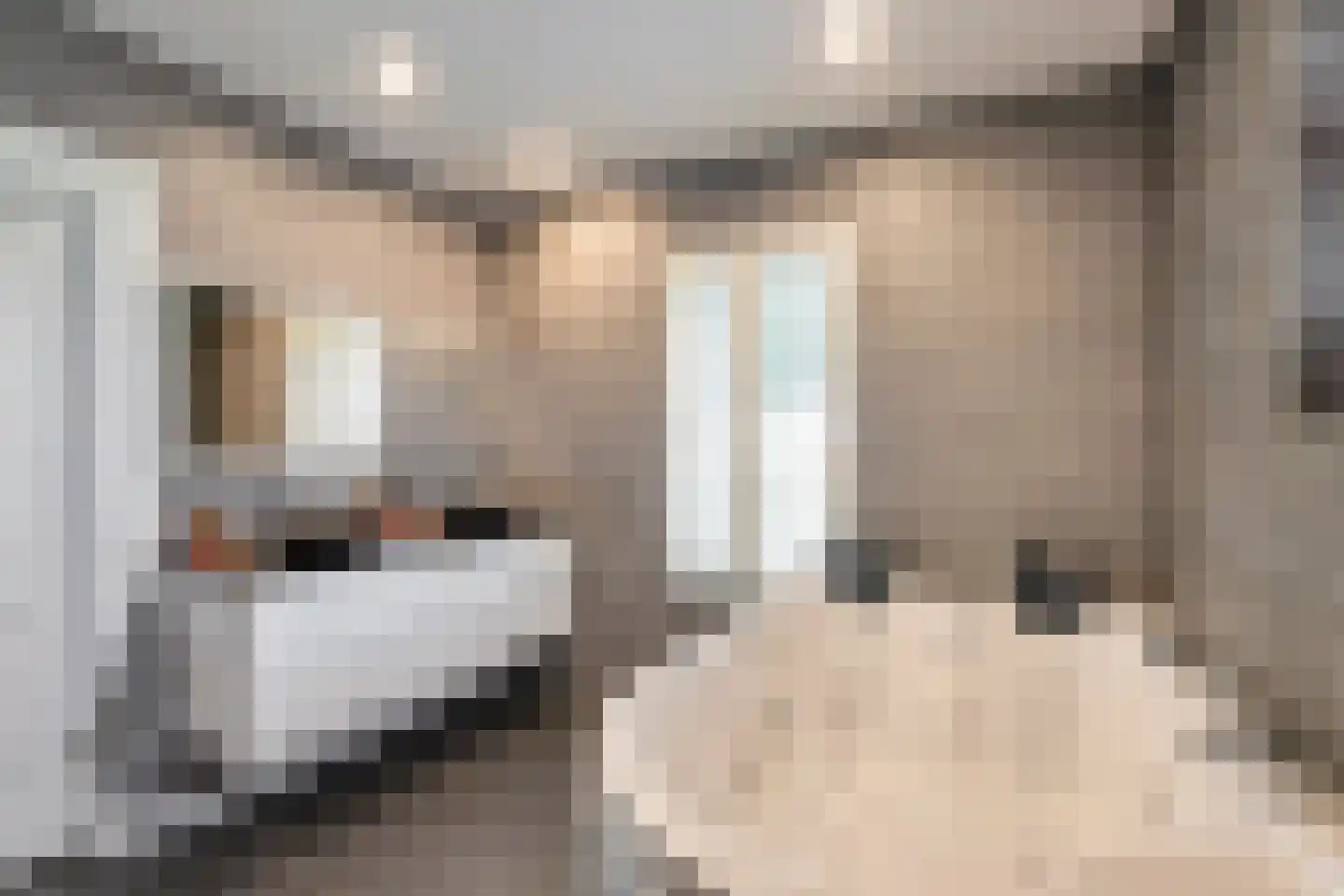 Vliegaan 3 Huissen thumbnail 20