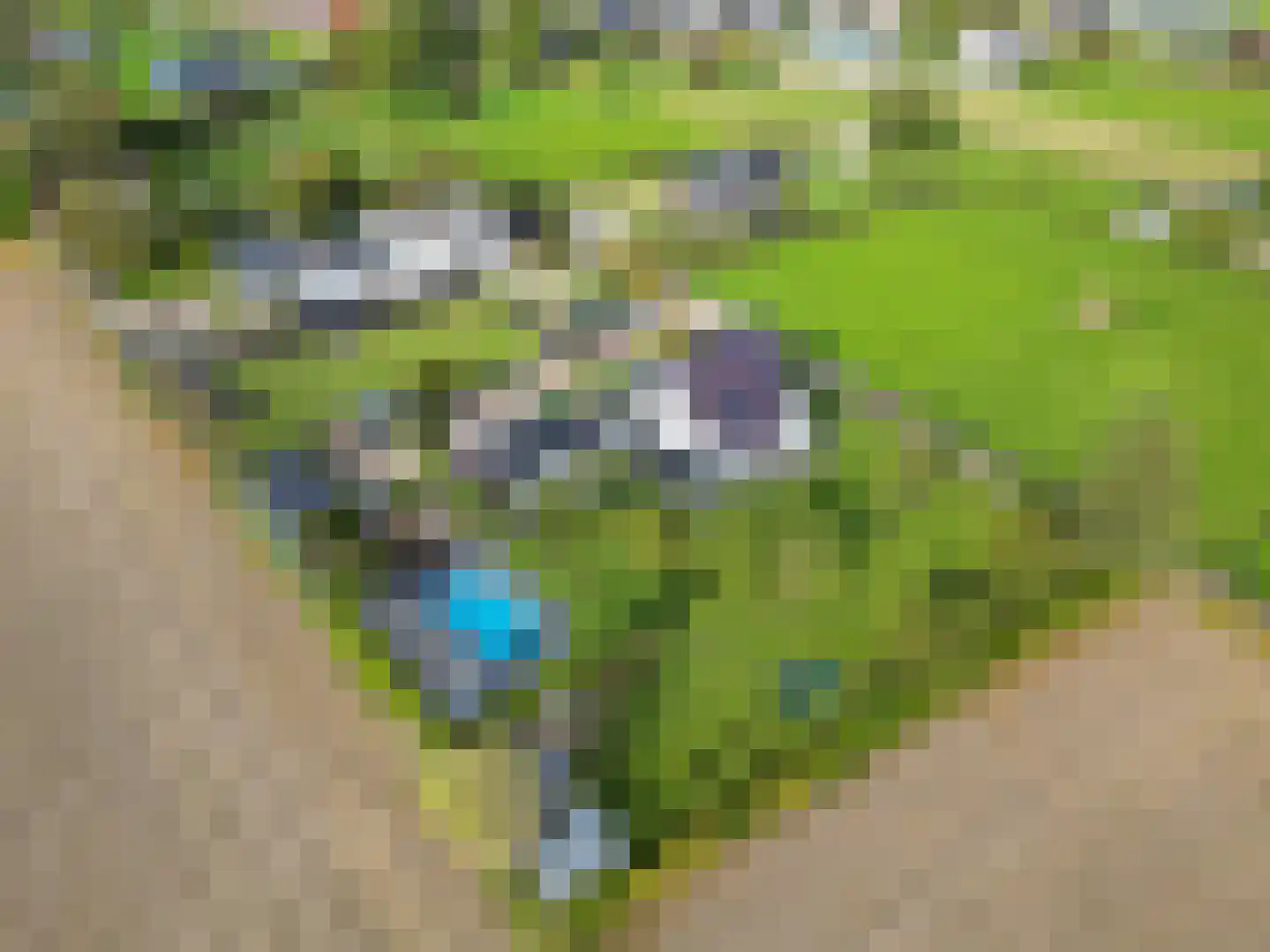 Vliegaan 3 Huissen thumbnail 32