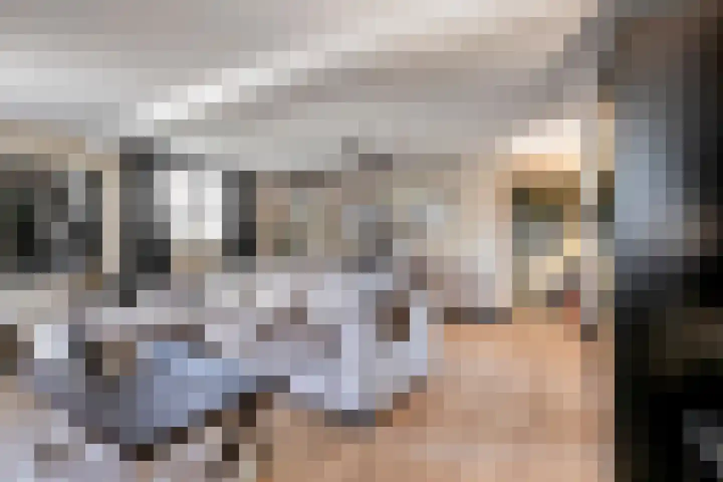 Vliegaan 3 Huissen thumbnail 35