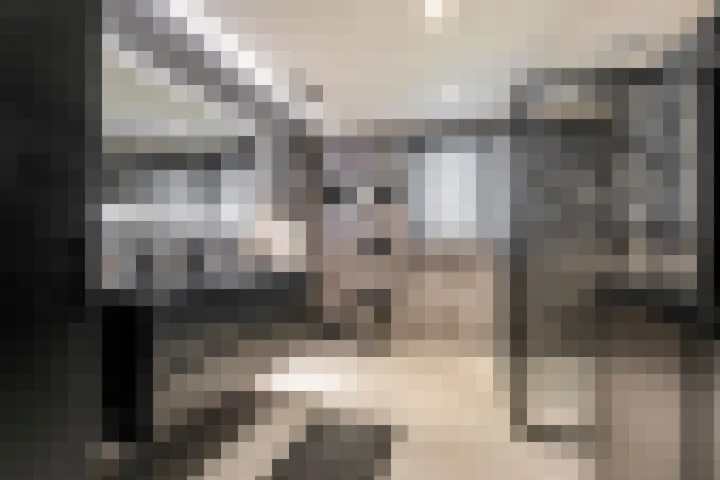 Vliegaan 3 Huissen thumbnail 39