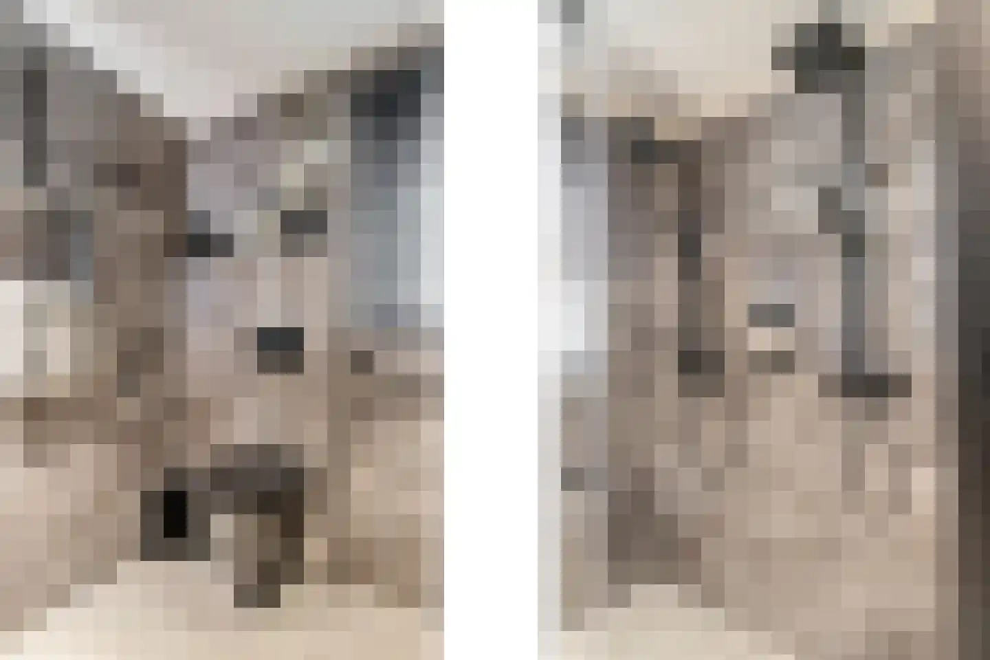 Vliegaan 3 Huissen thumbnail 41