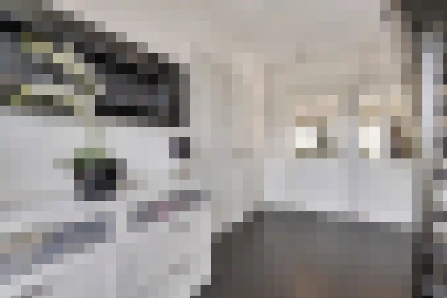 Vliegaan 3 Huissen thumbnail 46