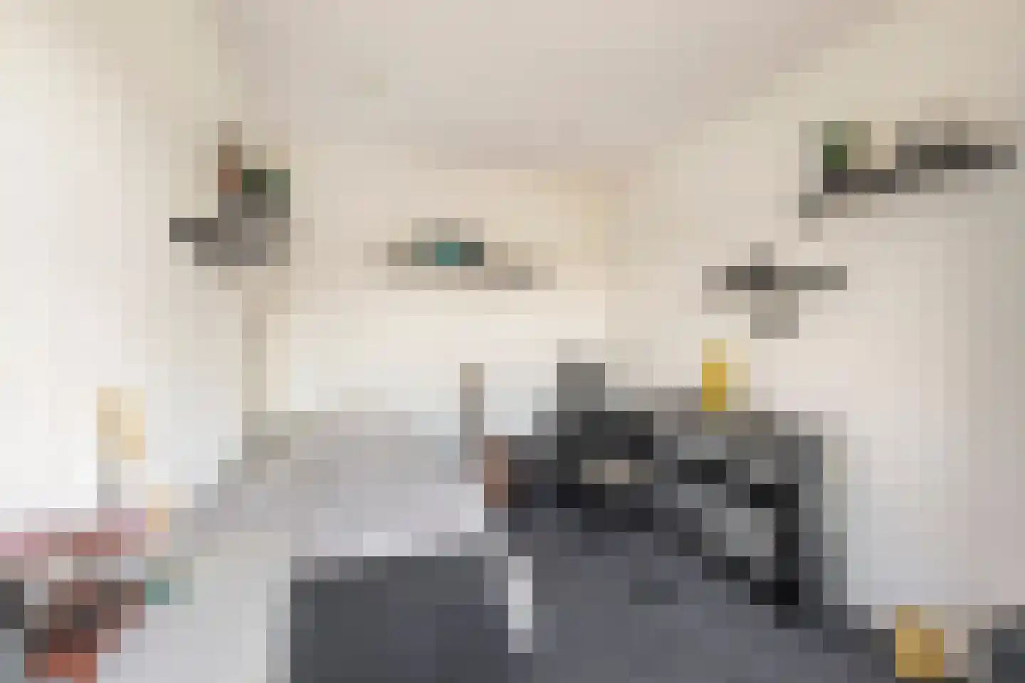 Vliegaan 3 Huissen thumbnail 52