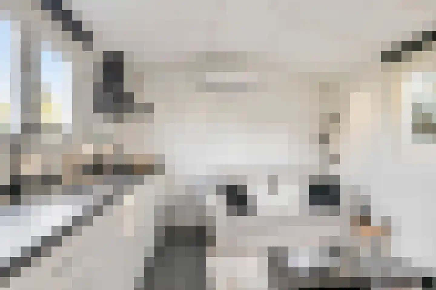 Vliegaan 3 Huissen thumbnail 57