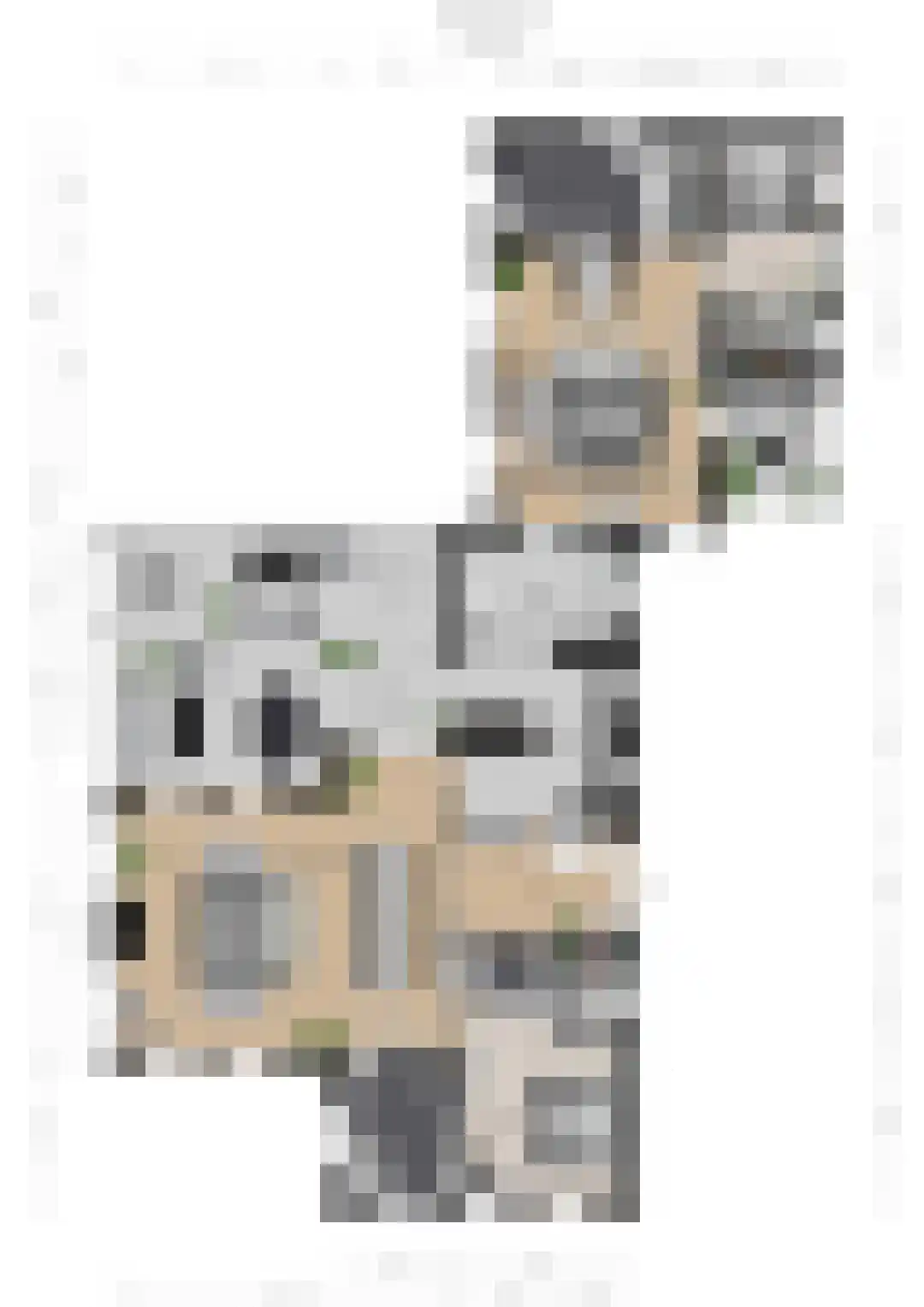 Vliegaan 3 Huissen thumbnail 64