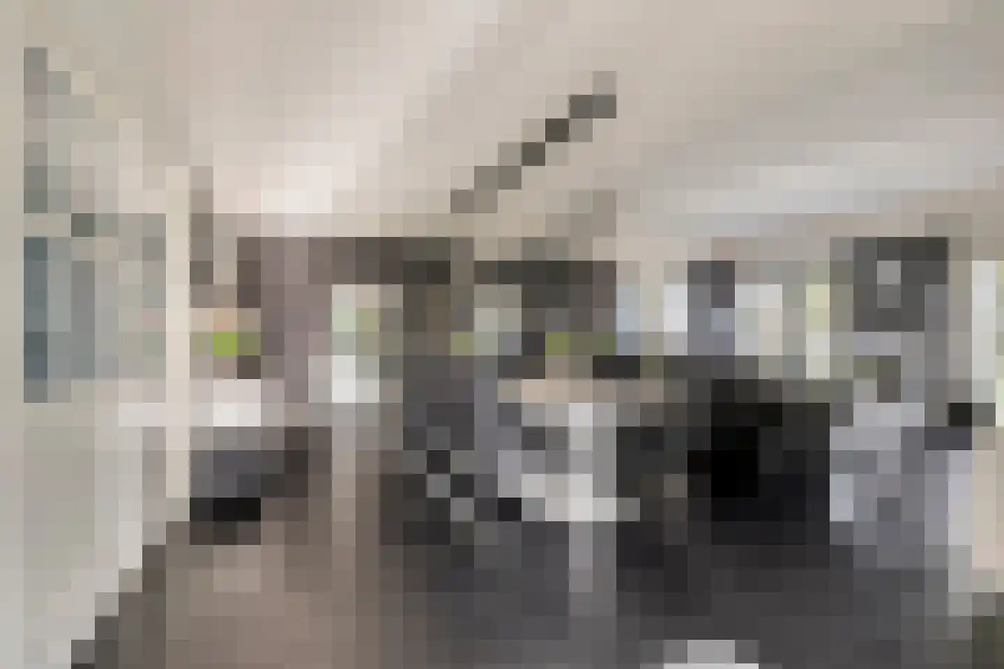 Vliegaan 3 Huissen thumbnail 7