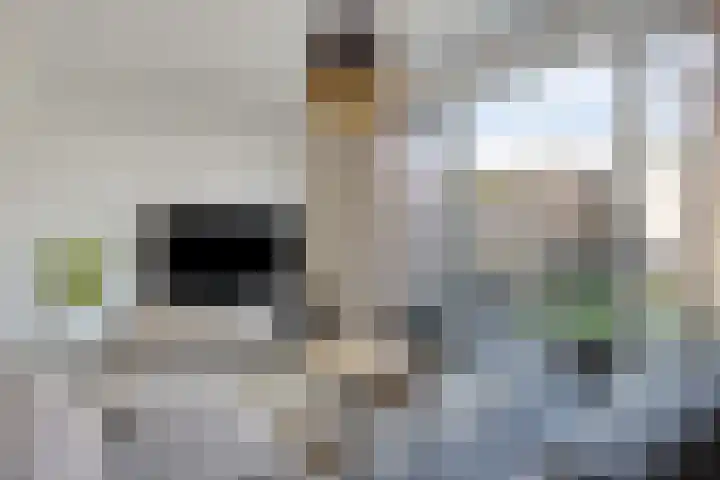 Vliegenbergdonk 19 Helmond thumbnail 14