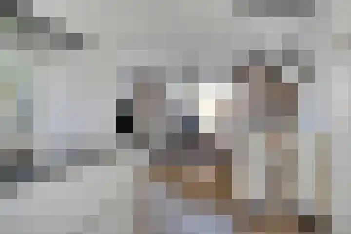 Vliegenbergdonk 19 Helmond thumbnail 18