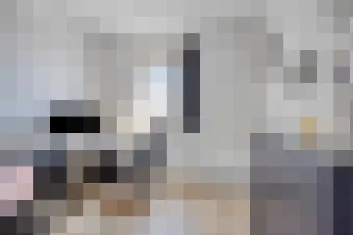 Vliegenbergdonk 19 Helmond thumbnail 24