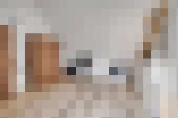Vliegenbergdonk 19 Helmond thumbnail 27