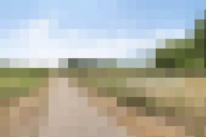 Vliegenbergdonk 19 Helmond thumbnail 32