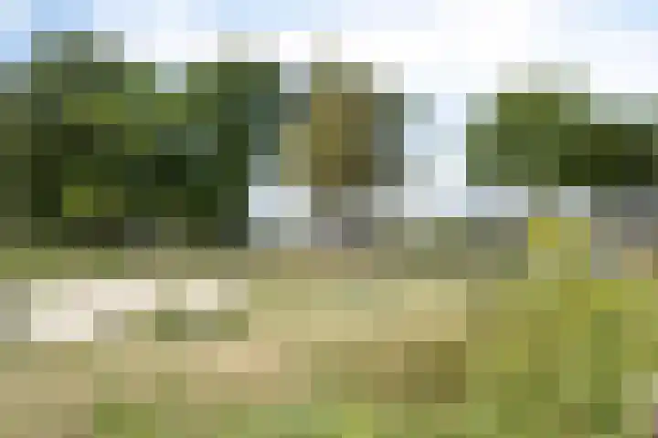 Vliegenbergdonk 19 Helmond thumbnail 33