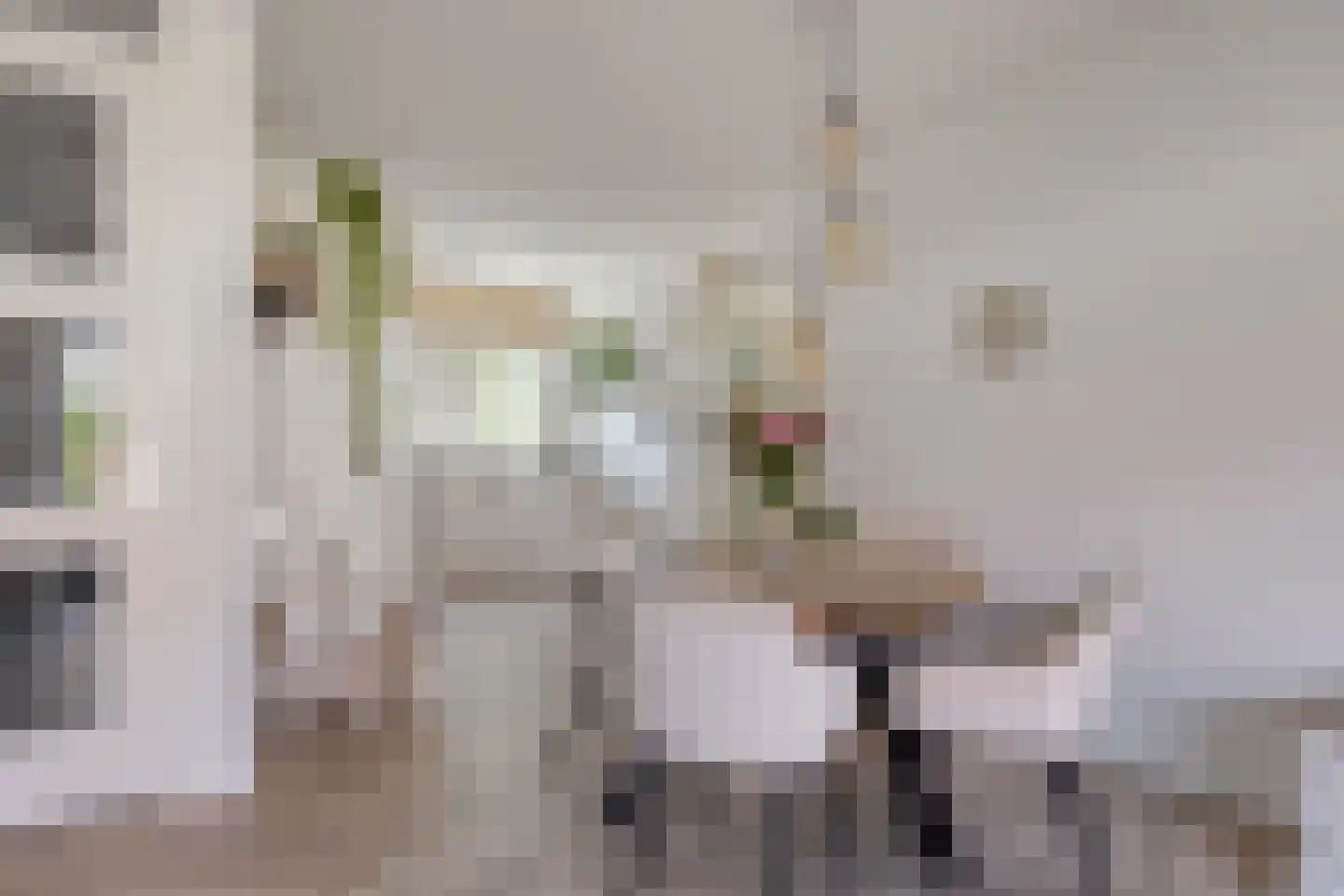 Vliegenbergdonk 35 Helmond thumbnail 15