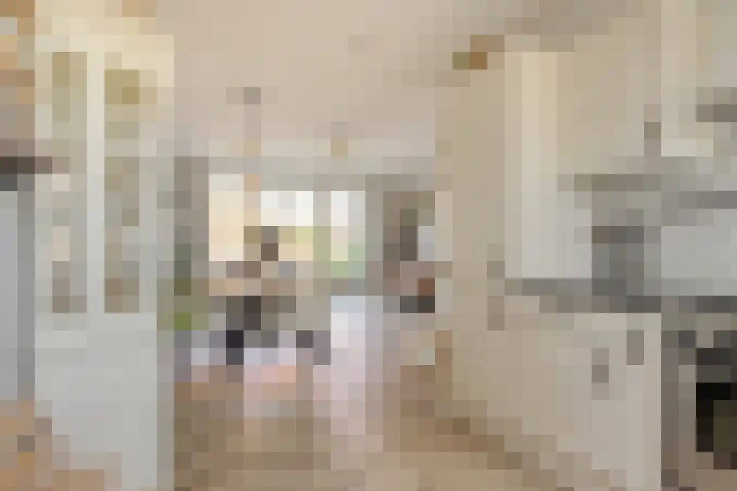 Vliegenbergdonk 35 Helmond thumbnail 18