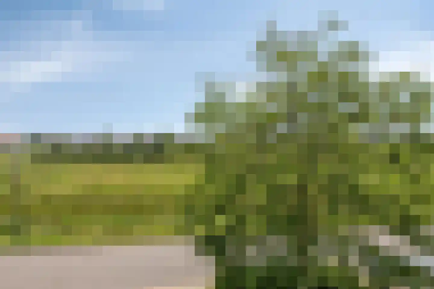 Vliegenbergdonk 35 Helmond thumbnail 29
