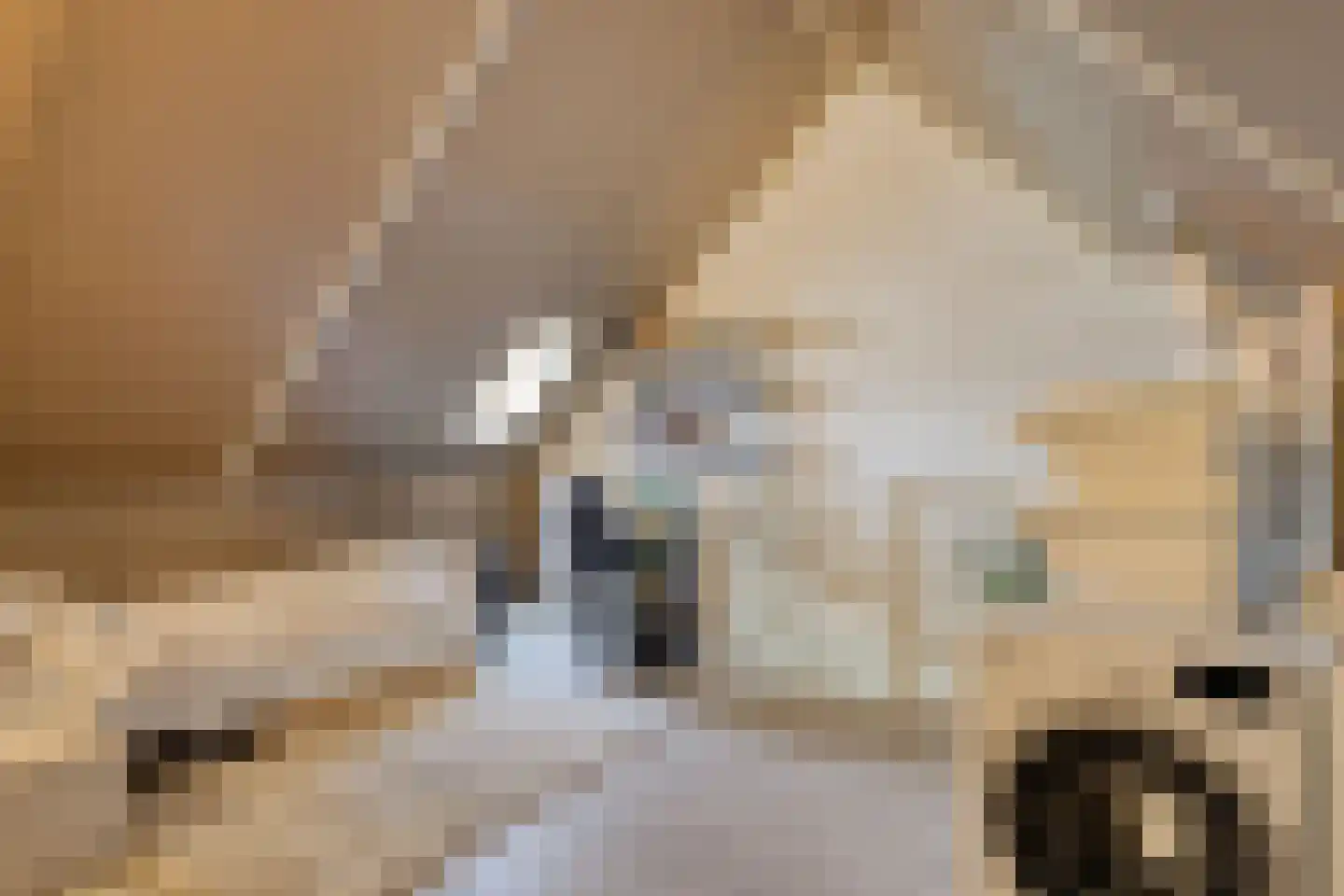Vliegenbergdonk 35 Helmond thumbnail 31