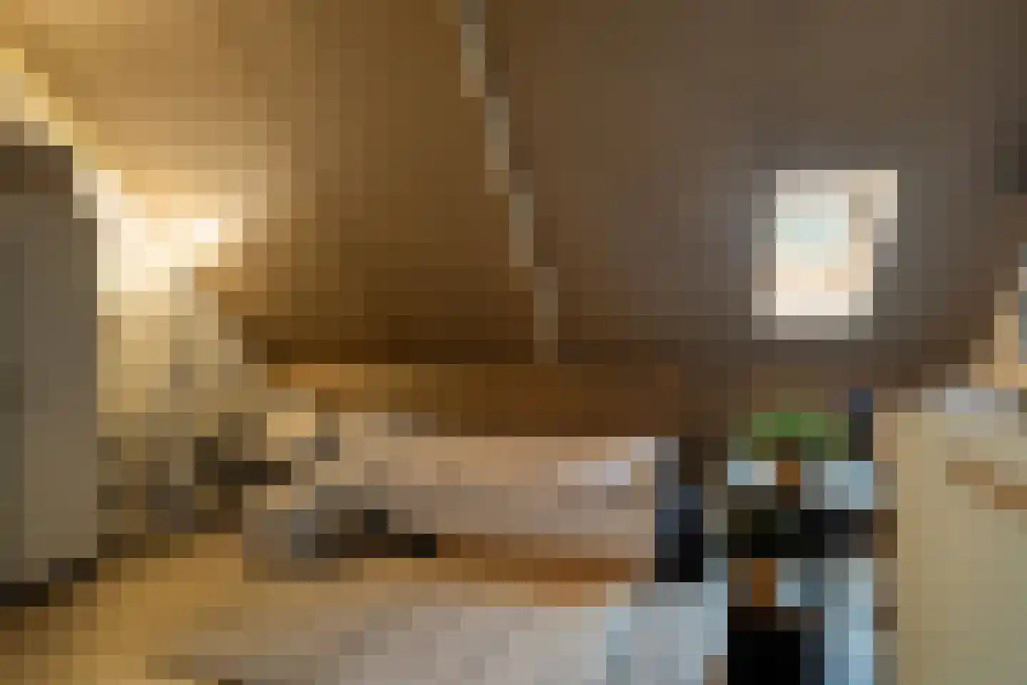 Vliegenbergdonk 35 Helmond thumbnail 33