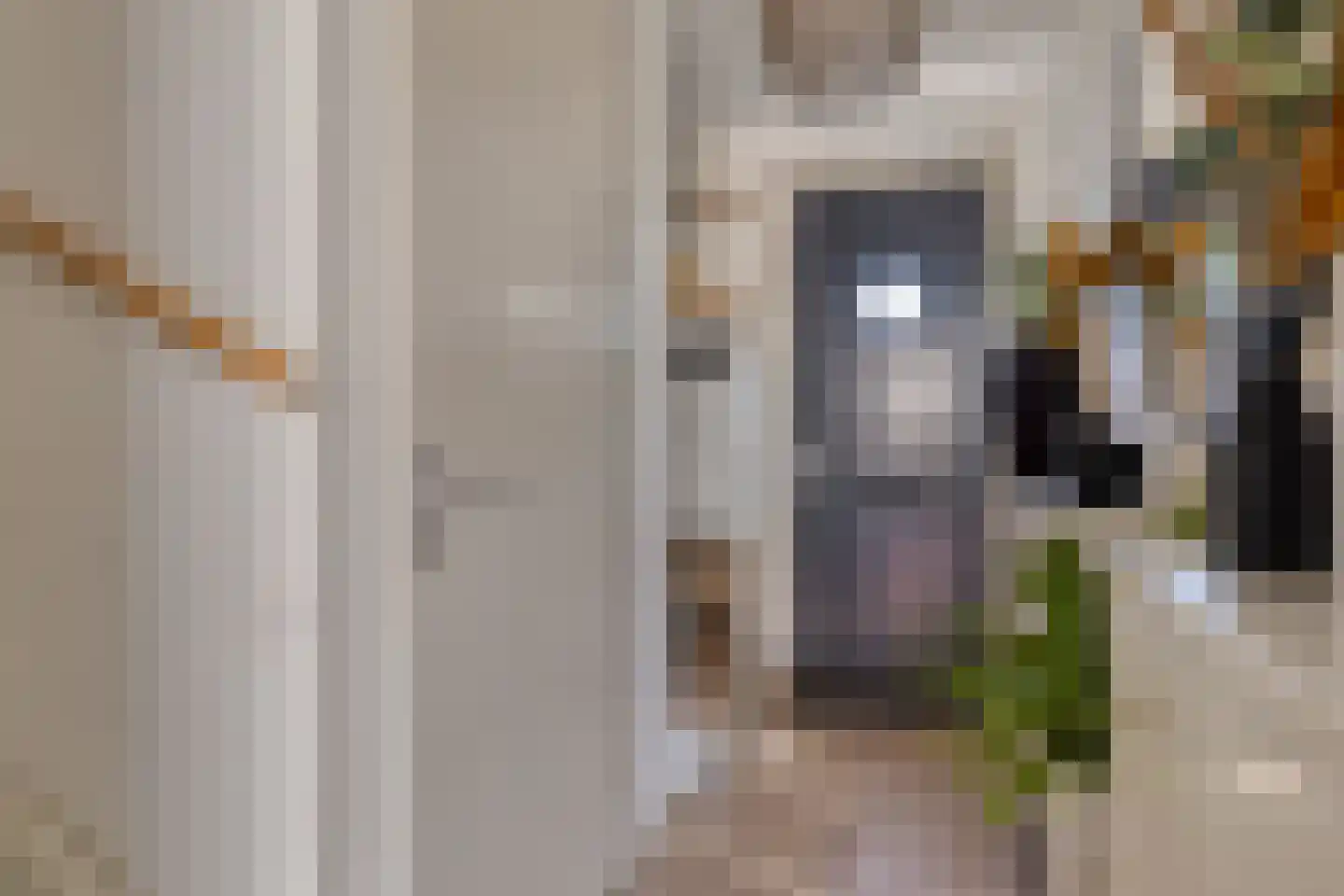 Vliegenbergdonk 35 Helmond thumbnail 8