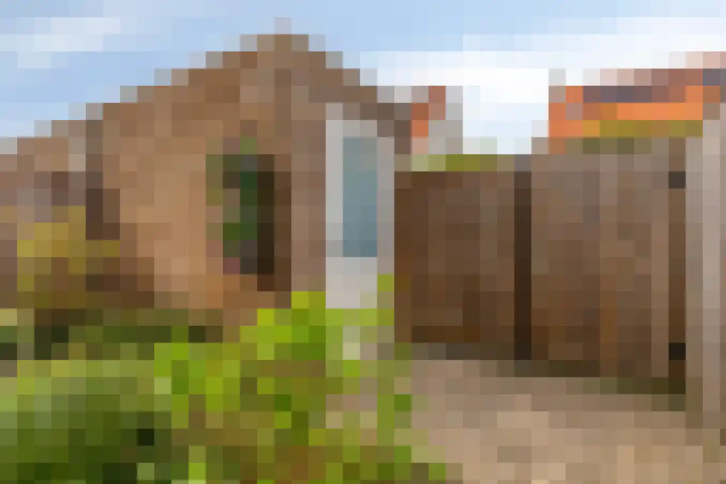 Vliegenbergdonk 47 Helmond thumbnail 38