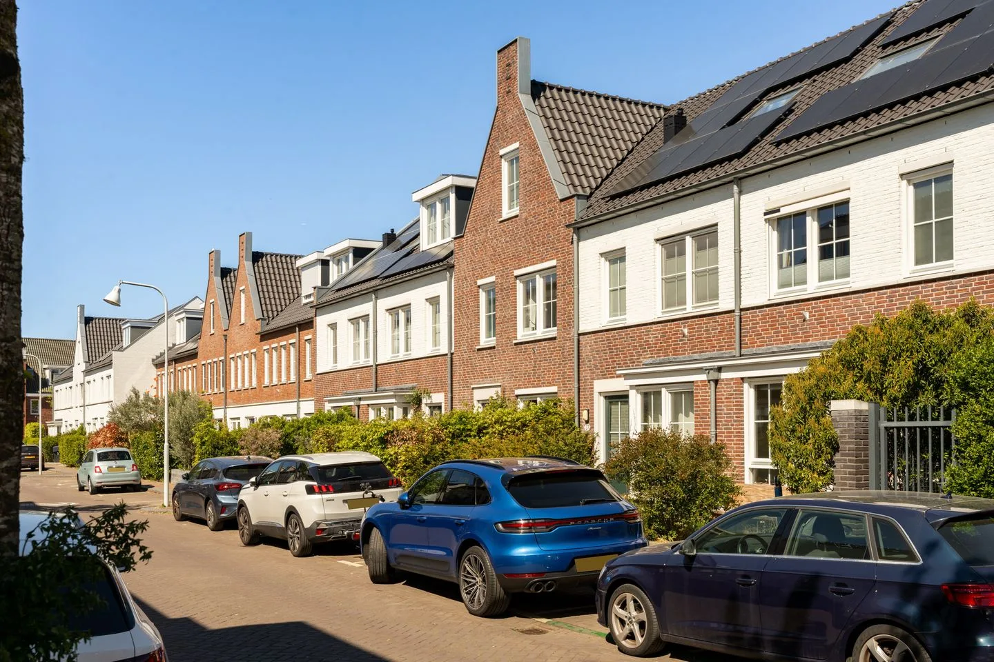 Vliegend Hert 27 Oegstgeest thumbnail 50